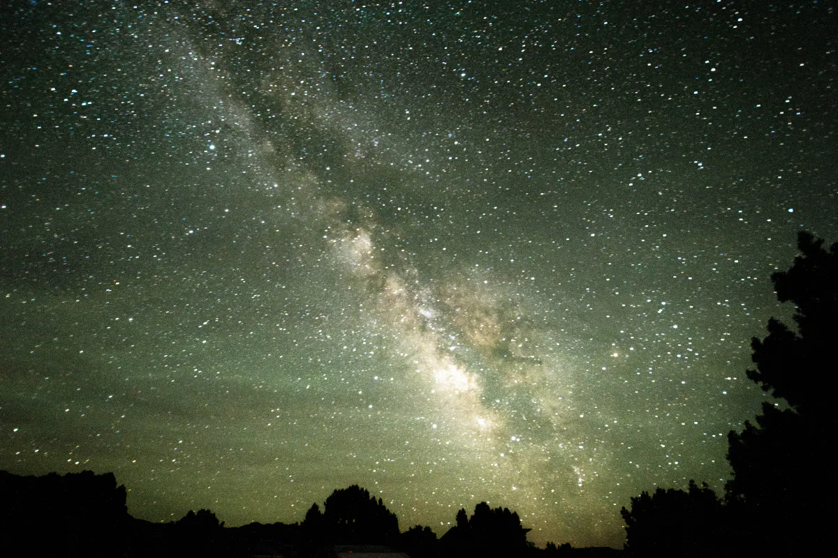 The Milky Way rising above a silhouetted forest